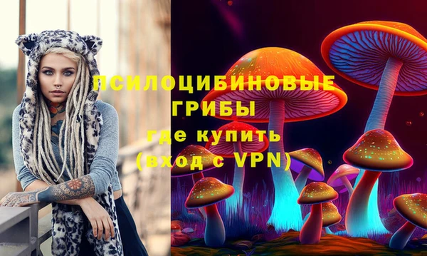 мескалин Дмитриев