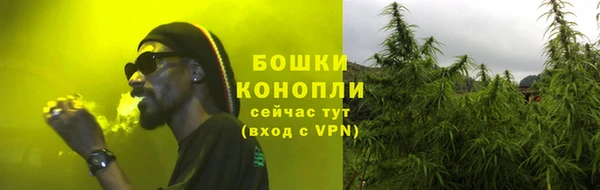 соль ск Дмитровск
