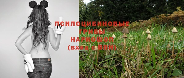 экстази Дмитров
