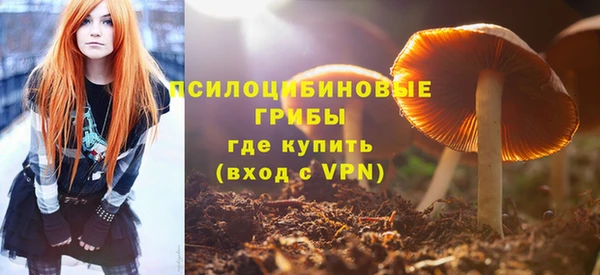 мескалин Дмитриев