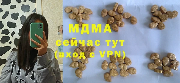 хмурый Ельня