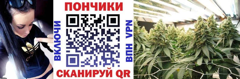 Шишки марихуана Bruce Banner  Питкяранта 